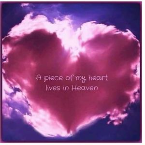 Meet your Posher, Felincian joy